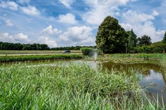 Melkweg 2-36, 7037 CN Beek Gem Montferland - Vosch van Avesaet 36 Beek-39.jpg